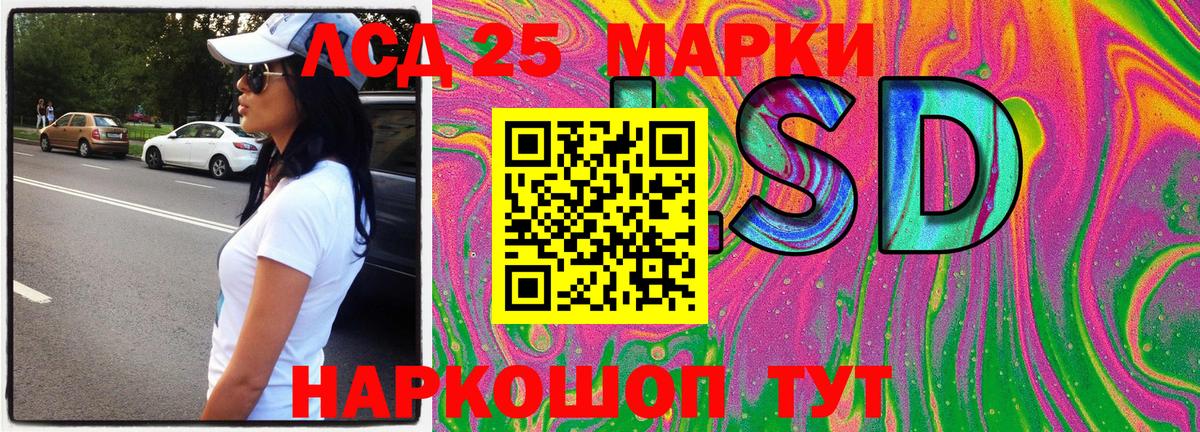 наркошоп  Марки 25I-NBOMe 1500мкг  Вход с VPN  Марки 25I-NBOMe 1500мкг  Бийск 