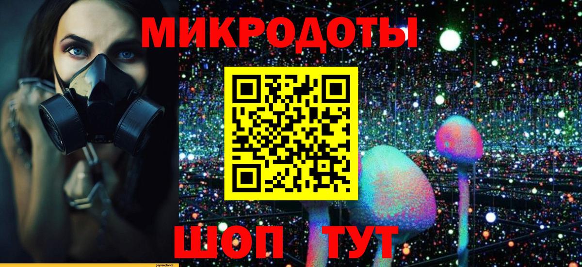 Псилоцибиновые грибы прущие грибы Бийск