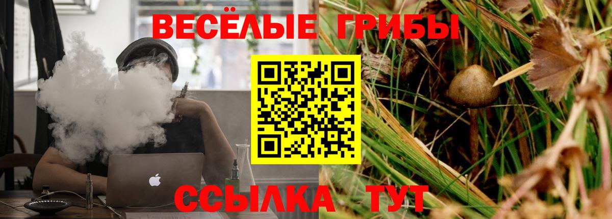 Бийск  магазин продажи   Вход с VPN  Галлюциногенные грибы Magic Shrooms 